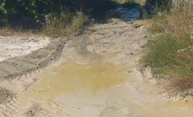 Временна забрана за плуване е издадена за плажа Акротири в