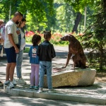 “Приятел без дом“ – нова скулптура в Ямбол със социална мисия