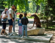 “Приятел без дом“ – нова скулптура в Ямбол със социална мисия