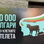 150 000 подписа влязоха с мотокар в Народното събрание срещу клетките за телета