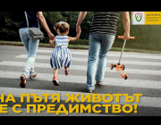 Национален ден на безопасността на движението по пътищата в България