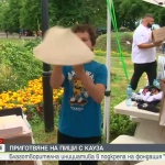 „Пица герои“: Майстори от цялата страна се обединиха в помощ на фондация „Искам бебе“