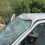 Дърво падна върху движещ се автомобил край Джебел