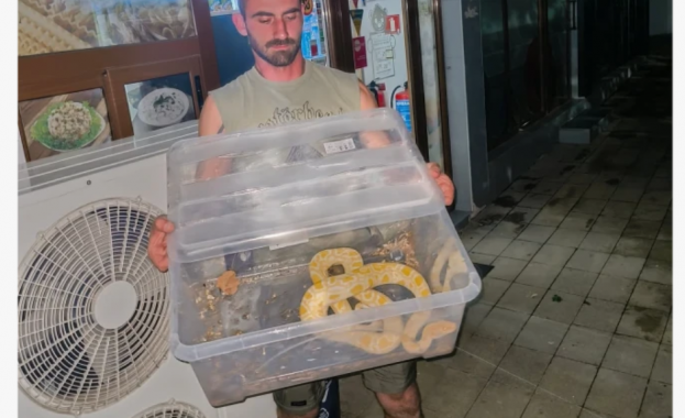 открит в центъра на Стара Загора край детска площадка след