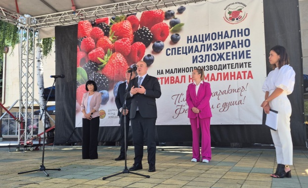 Българското малинопроизводство бележи сериозни успехи благодарение на дългогодишната работа на