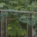 Достъпът до училищни дворове: Обмислят затягане на режима на ползване извън учебно време