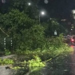 Продължава отстраняването на щетите след бурята в Пловдив