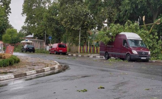 Силна буря с пороен дъжд градушка и силен вятър нанесе