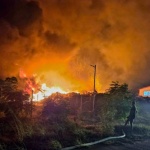 Голям пожар пламна край бивш завод на изхода на Асеновград, една постройка е изгоряла