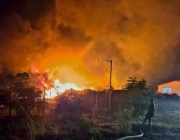 Голям пожар пламна край бивш завод на изхода на Асеновград, една постройка е изгоряла