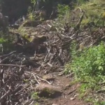Започва акция по възстановяването на екопътеката към Чипровския водопад