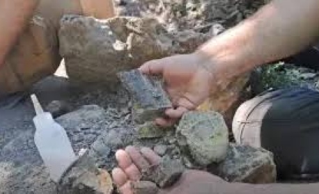 Откриха цяла кост от динозавър край Трън