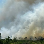 Пожар в района на тополовградското село Българска поляна