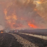 Потушен е големият пожар между Първомай и Брягово