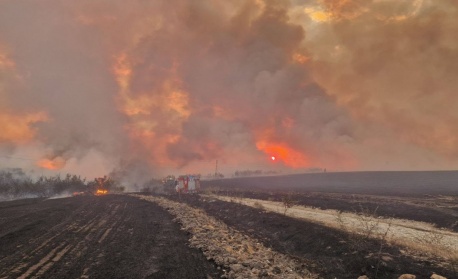 Потушен е големият пожар между Първомай и Брягово