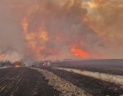 Потушен е големият пожар между Първомай и Брягово
