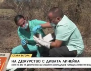 На дежурство с „Дивата линейка“