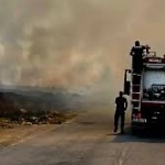 Пожарът край Асеновград е овладян
