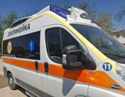 Първата зоолинейка в България ще помага на бедстващи животни