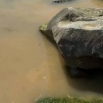 Фекални води на метри от летовници на Свети Влас