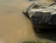 Фекални води на метри от летовници на Свети Влас