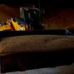Цените на пшеницата в Европа ще се повишат заради намалените доставки от Украйна