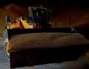 Цените на пшеницата в Европа ще се повишат заради намалените доставки от Украйна