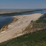 Ниското ниво на Дунав: Как сушата се отразява на икономиката и региона?