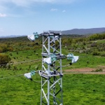 Електроразпределение Юг обезопаси 650 стълба за опазване на световнозастрашени видове птици 
