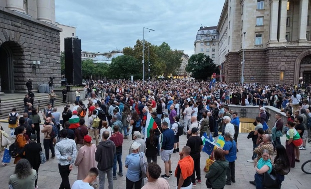 Протести и лъжи: когато жълтите павета се превърнат в терапевтична сцена за собствените ни дефицити
