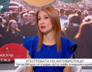 Близо 5,5 милиона опаковки антибиотици са употребени в България през 2025 г.