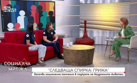 Започва национална кампания в подкрепа на бездомните животни