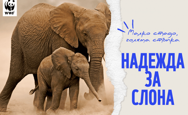 WWF: Размерът на популациите на диви животни в света е намалял със 73% за 52 години 