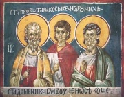 Св. мчци Пров, Тарах и Андроник. Преп. Козма, епископ Маюмски. Св. Мартин Милостиви