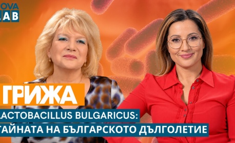 Изворът на дълголетието: Българска бактерия от Стара планина пази ума и тялото ни
