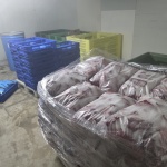 БАБХ затвори обект за консерви в Пловдив, унищожава над тон храни