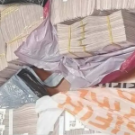 4 милиона турски лири в куфар са задържани на ГКПП Малко Търново